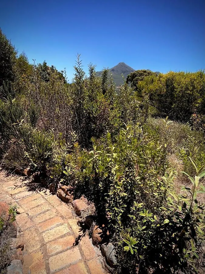 Windrose, Noordhoek, Sensationeller Meerblick Cape Town 0*,  South Africa